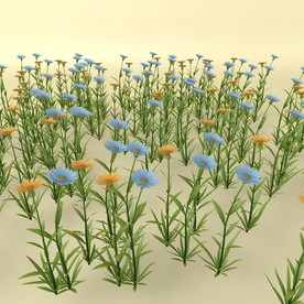 花草模型 植物模型 花卉模型