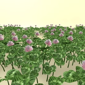 花草模型 植物模型 花卉模型