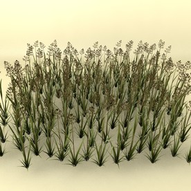 花草模型 植物模型 花卉模型