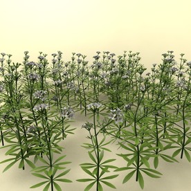 花草模型 植物模型 花卉模型