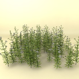 花草模型 植物模型 花卉模型