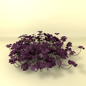 花草模型 植物模型 花卉模型