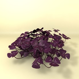 花草模型 植物模型 花卉模型