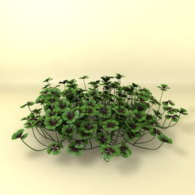 花草模型 植物模型 花卉模型