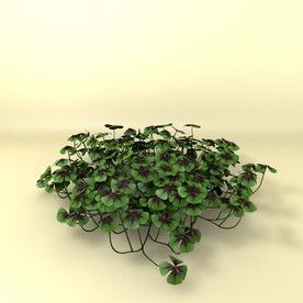 花草模型 植物模型 花卉模型