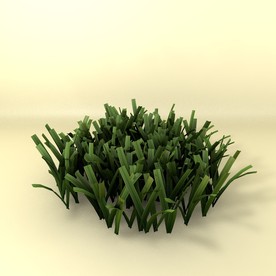 花草模型 植物模型 花卉模型