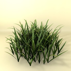 花草模型 植物模型 花卉模型