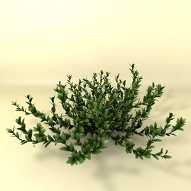 花草模型 植物模型 花卉模型