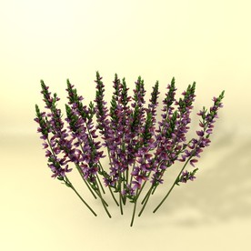 花草模型 植物模型 花卉模型