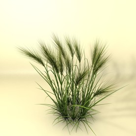 花草模型 植物模型 花卉模型