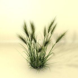 花草模型 植物模型 花卉模型