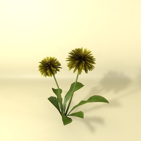 花草模型 植物模型 花卉模型