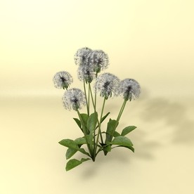 花草模型 植物模型 花卉模型