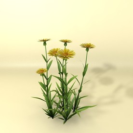 花草模型 植物模型 花卉模型