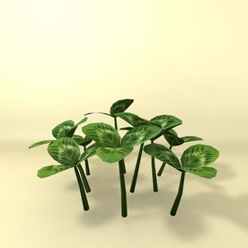 花草模型 植物模型 花卉模型