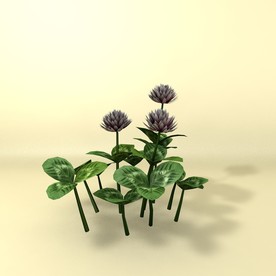 花草模型 植物模型 花卉模型