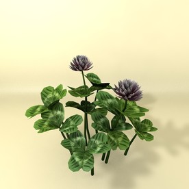 花草模型 植物模型 花卉模型