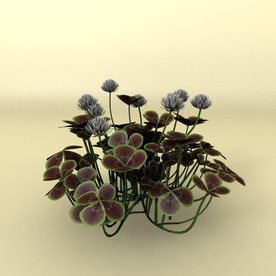 花草模型 植物模型 花卉模型