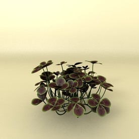 花草模型 植物模型 花卉模型