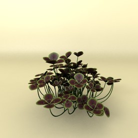 花草模型 植物模型 花卉模型