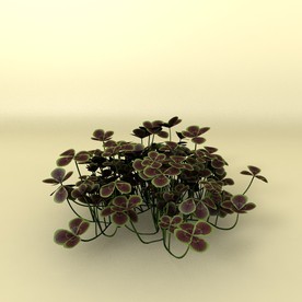 花草模型 植物模型 花卉模型