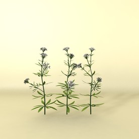 花草模型 植物模型 花卉模型