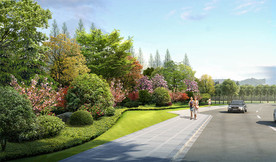 市政道路绿化效果图