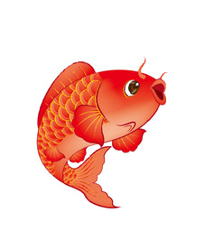 手绘鲤鱼  红鲤鱼