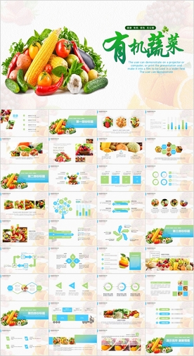有机绿色水果生鲜营养蔬菜PPT