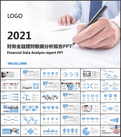 分析报告PPT