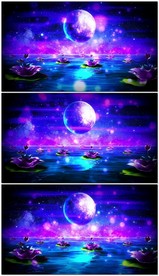 唯美水面月亮荷花明月舞台视频