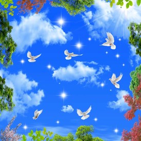 蓝天白云鸽子