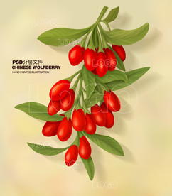 手绘枸杞