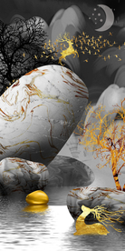 转运石玄关 夜景