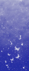 星空蝴蝶
