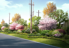 道路园林景观绿化效果图