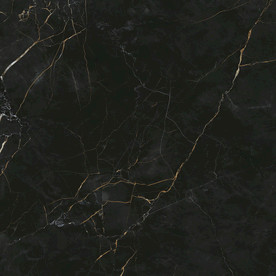 黑金花 黑金线瓷砖高清图片