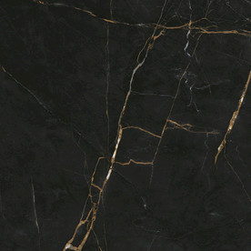 黑金花 黑金线 瓷砖高清素材