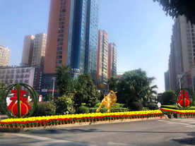 花坛摆花设计效果图