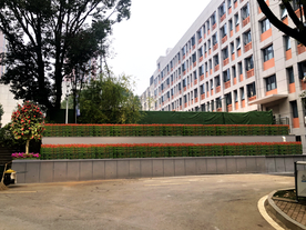 校园绿篱景观设计效果图