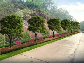 道路绿化景观设计效果图