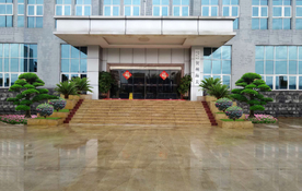 单位入口景观改造罗汉松