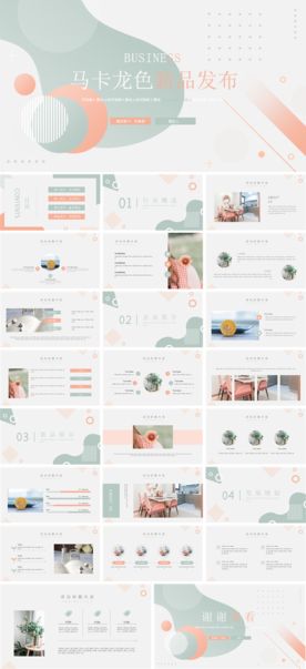 商务会议汇报项目介绍PPT