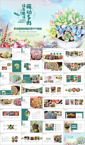 绿色多肉植物养殖绿色欣赏PPT