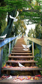 森林阶梯和平鸽子绿色风景画玄关