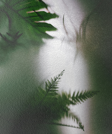 绿色植物背景墙