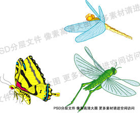 昆虫卡通  昆虫插画