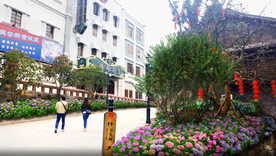 2020乡村花境景观