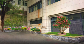 丛生紫薇景观设计效果图