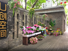 街道花境景观设计效果图